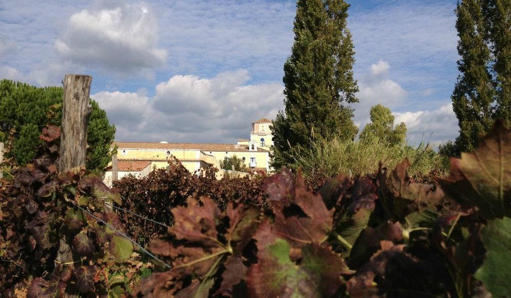 Masseria La Morella Bellizzi ภายนอก รูปภาพ